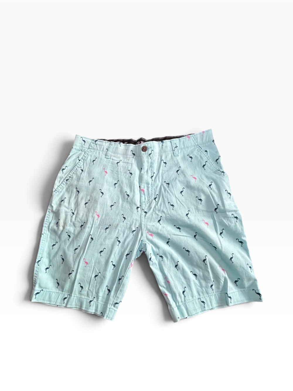 Plugg Light Blue Flamingo-Print Flat Front Men's Shorts